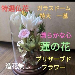 特選仏花 お供え花 蓮の花 清らかな心 ガラスドーム特大 プリザーブドフラワー