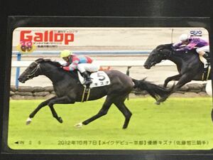 Gallop クオカード　キズナ　新馬　ギャロップ　競馬　JRA