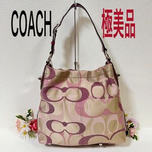 【タイムセール！極美品】COACH コーチ ショルダーバッグ F17476 肩掛け シグネチャー キャンバス×レザー チャーム付き