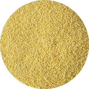 雑穀 kibi 稷きび 吉備団子 millet 雑穀米 proso 黄実 五穀 きび 稷 黍 1kg キビ モチ もちきび 1キロ