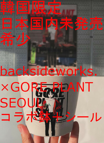 Backside works. バックサイドワークス GORE PLANT SEOUL ゴア プラネット ソウル 鉢 植木鉢 棘式 gray グレー 灰 植木鉢 限定品 即決