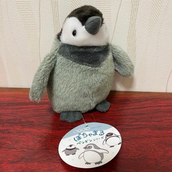 【新品タグ付】　ぽちゃまる(S) ペンギンシリーズ 子ペンギン(立ちポーズ)ぬいぐるみ