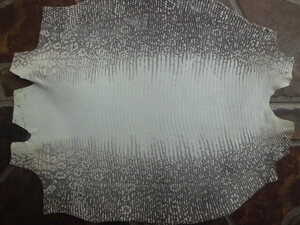 トカゲ革　幅32.5cm リザード皮革　ナチュラル