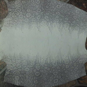 トカゲ革大判 幅37cmリザード皮革 ナチュラルの画像1