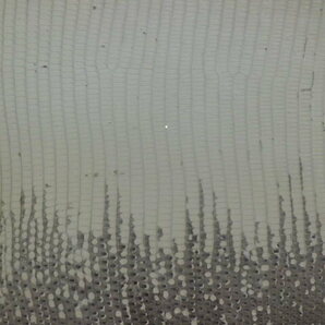 トカゲ革大判 幅36cmリザード皮革 ナチュラルの画像3