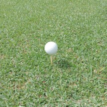 ゴルフティー 70mm ロングティー 100本　竹製　バンブーティー　竹　ウッドティー　新品未使用　ゴルフ用品　golf Tee お徳_画像5
