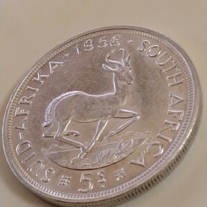 南アフリカ 1956 5シリング銀貨 ELIZABETH Ⅱ−Springbokの画像1