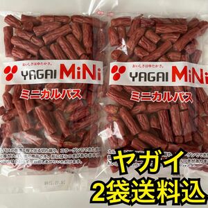 最安値　大人気！お徳用　ヤガイのコラーゲン入りミニカルパス250g×2袋