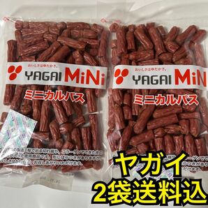 最安値　大人気！お徳用　ヤガイのコラーゲン入りミニカルパス250g×2袋