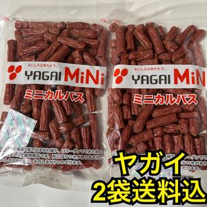 最安値　大人気！お徳用　ヤガイのコラーゲン入りミニカルパス250g×2袋