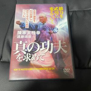 送料無料！陳家太極拳　真の功夫を求めて　遠藤靖彦　DVD