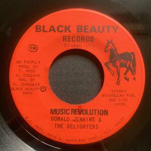 DONALD JENKINS & THE DELIGHTERS / MUSIC REVOLUTION (BLACK BEAUTY) Soul45 - sweet soul