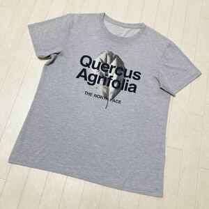 3925☆ THE NORTH FACE ザ・ノースフェイス トップス 半袖Tシャツ クルーネックTシャツ メンズ グレー 文字