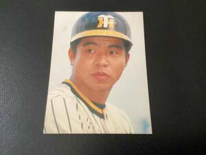 良品　カルビー79年　掛布（阪神）君が選ぶスターは誰だ　プロ野球カード