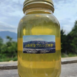 山梨県産　アカシア蜂蜜　1200g（ビン）　1本入り　2023 年5月採り