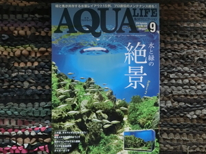 * aqua life 2016-09* water . green. ..Part2*