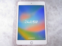 ◇ iPad mini 第5世代 256GB Wi-Fiモデル ゴールド A2133 中古 ジャンク_画像2