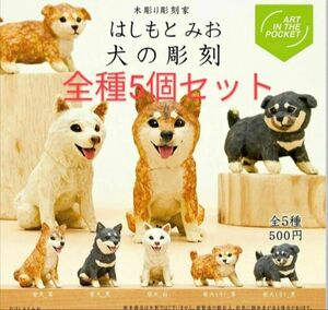 【新品 送料無料】はしもとみお　犬の彫刻 全５種セット　 犬の彫刻 ガチャ キタンクラブ 柴犬 ガチャガチャ フィギュア ガチャ