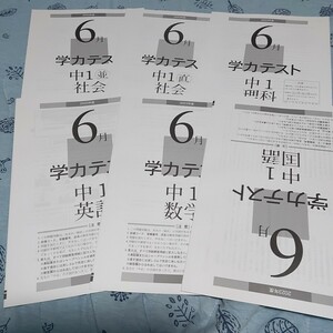 育伸社　中学生 ５科目　２０２４年度６月学力テスト　送料込　国語・数学・理科・社会・英語