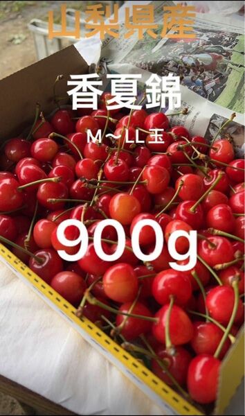 山梨県産　さくらんぼ　M〜LL玉　香夏錦　箱込み1kg②