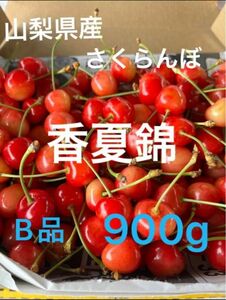 ②山梨県産　さくらんぼ　香夏錦　はねだしB品　内容量900g 以上