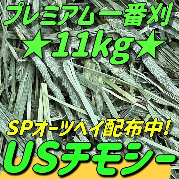 ★11kgチモシー★プレミアム一番刈り うさぎ 小動物用品 ペットフード 牧草 おやつ