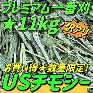 ★訳あり ★数量限定 11kgチモシー プレミアム 一番刈 うさぎ 小動物用品 ペットフード 牧草 おやつ