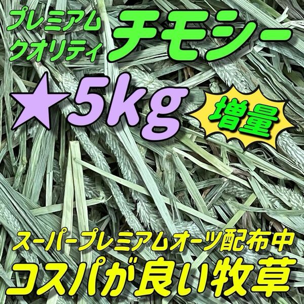 ★チモシー5.5kg ★プレミアム一番刈り うさぎ 小動物用品 ペットフード 牧草 おやつ