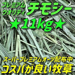 ★チモシー11kg ★プレミアム一番刈り うさぎ 小動物用品 ペットフード 牧草 おやつ