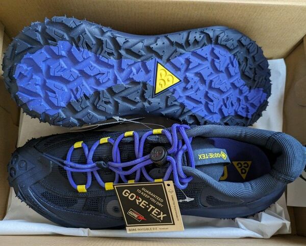 ACG MOUNTAIN FLY 2 LOW GORE-TEX 29.0cm 2点セット