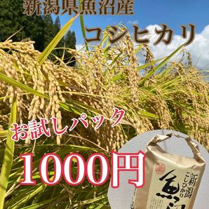 新潟県魚沼産コシヒカリ　お試しパック