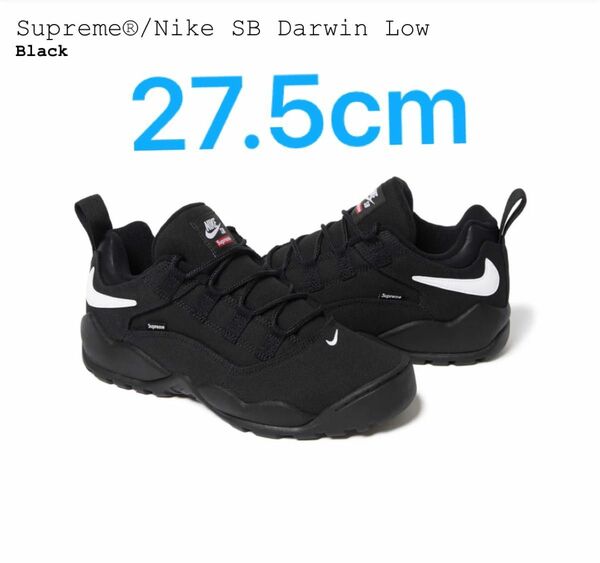 27.5cm Supreme × Nike SB Darwin Low "Black"