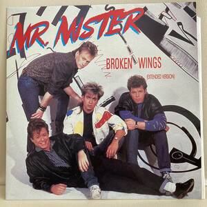 Mr. Mister - Broken Wings (Extended Version) 12 INCH
