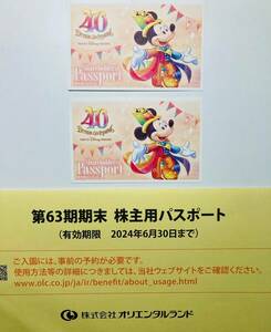 東京ディズニーランド・シー　株主優待パスポート2枚（有効期限：2024/6/30）