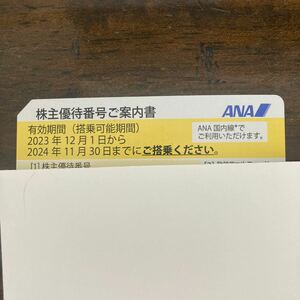 ANA 全日空 株主優待 