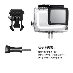 GoPro