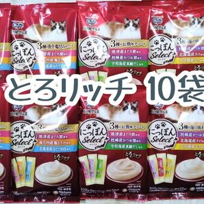 銀のスプーン三ツ星グルメ とろリッチ 10袋 計180本★猫のおやつつぶ