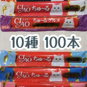 いなばCIAO ちゅ～る 10種 100本⑪★猫のおやつチャオちゅーる
