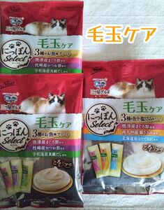 銀のスプーン三ツ星グルメ とろリッチ 毛玉ケア 2種 計3袋★猫のおやつ