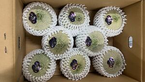 79. limited amount Anne tes melon 6~9 sphere entering normal temperature shipping 