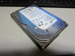 SEAGATE ST250DM000 内蔵用3.5インチHDD　250GB 正常動作確認済み