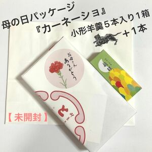 【 送料無料 】虎屋 羊羹　小形羊羹　５本＋新緑1本【 未開封 化粧箱のまま 】母の日パッケージ　カーネーション　とらや 