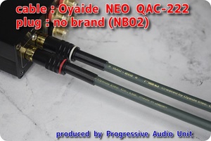 □□ Oyaide NEO QAC-222(green)＋RCA Gp_plug（NB02）/0.70m×2本