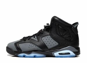 NIKE AIR JORDAN 6 RETRO COOL GREY (GS) 22.5cm 384665-010