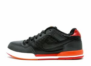 Nike SB Paul Rodriguez 2 Fuji Rod &quot;Black/Heritage Red&quot; 28cm 318359-061