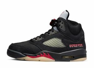 Nike WMNS Air Jordan 5 Retro GORE-TEX &quot;Off-Noir&quot; 26cm DR0092-001