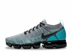 Nike Air Vapormax 2.0 Dusty Cactus 28cm 942842-104