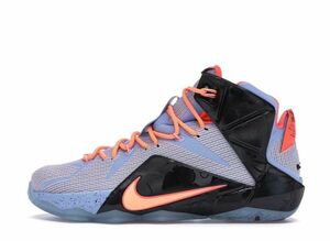 Nike LeBron 12 Easter &quot;Aluminum&quot; 25.5cm 684593-488