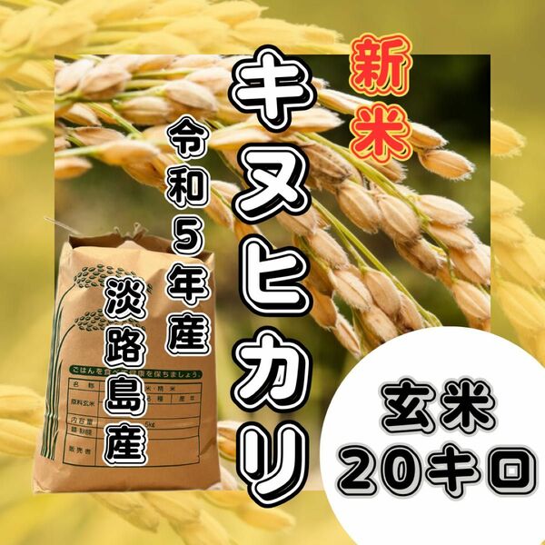 【新米　令和5年産】淡路島産　キヌヒカリ　玄米20キロ　低農薬　産地直送　セール　お得