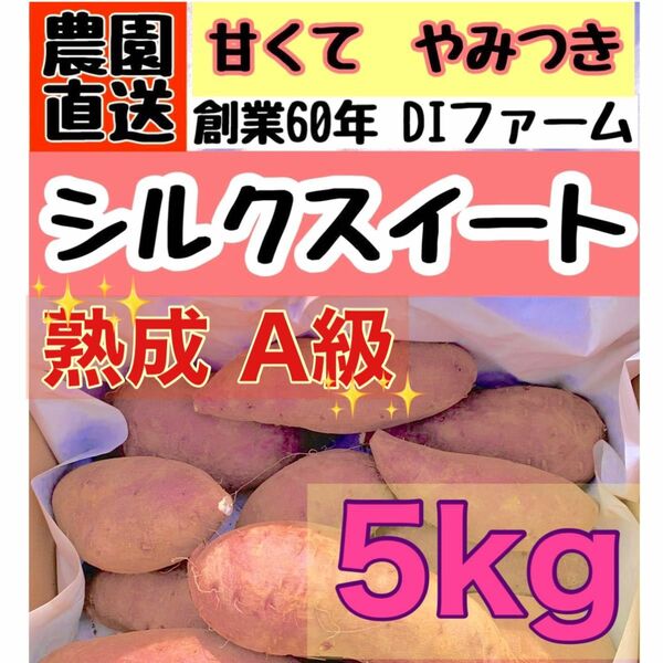 期間限定　セール　熟成 さつまいも A級 シルクスイート 5kg (箱こみ) 土つき　サイズミックス 千葉県産 2023年もの